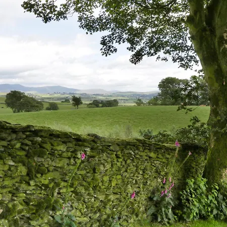 Longwell